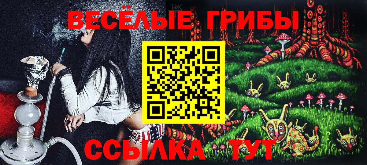 Псилоцибиновые грибы Psilocybine cubensis  Вход с VPN  наркошоп  Галлюциногенные грибы MAGIC MUSHROOMS  Кыштым 