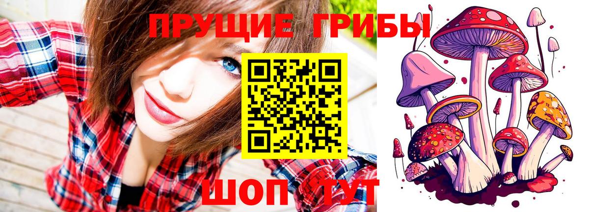 Галлюциногенные грибы GOLDEN TEACHER Кыштым